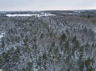 2B E Simpson Rd, Mancelona, MI 49659