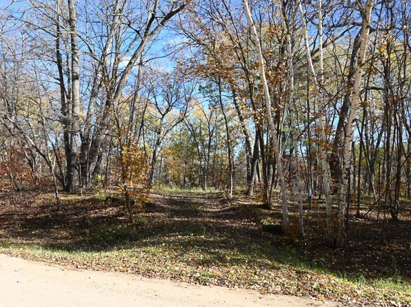 39906 Pine Island Point Dr, Browerville, MN 56438