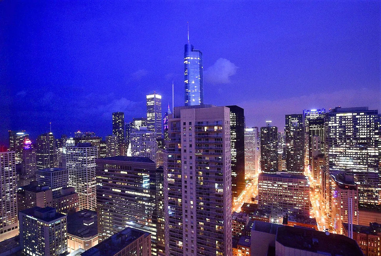 1 bed, 700 sqft, $2,600 — Photo 3