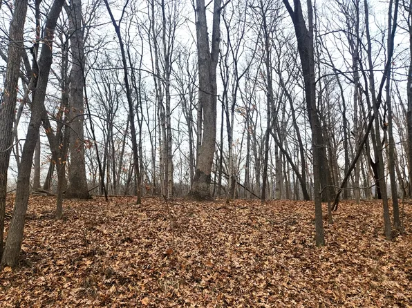 LOT 1783/84 Blueberry Dr, Varna, IL 61375