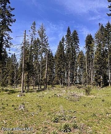 3rd image of Harris Ridge Rd Parcel 4
