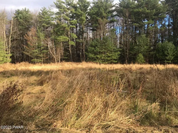 18R Deer Laurel Estate Rd, Hamlin, PA 18427