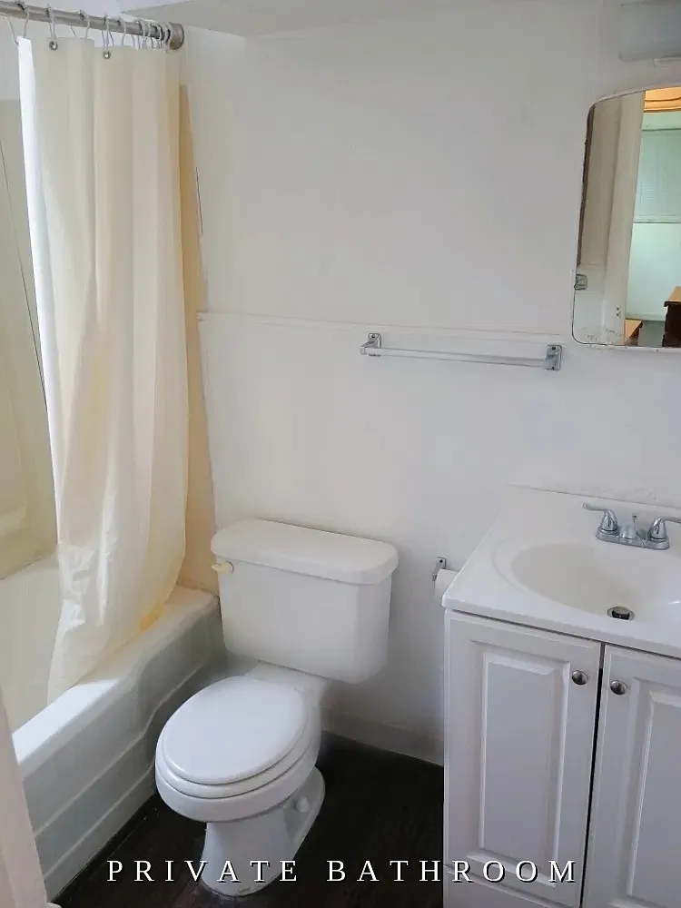 1 bed, 450 sqft, $900 — Photo 3