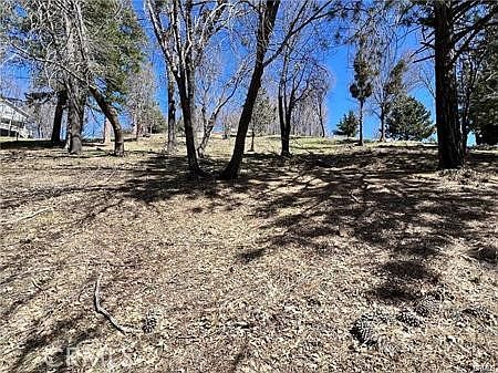 2nd image of 41 Fredalba Rd #A