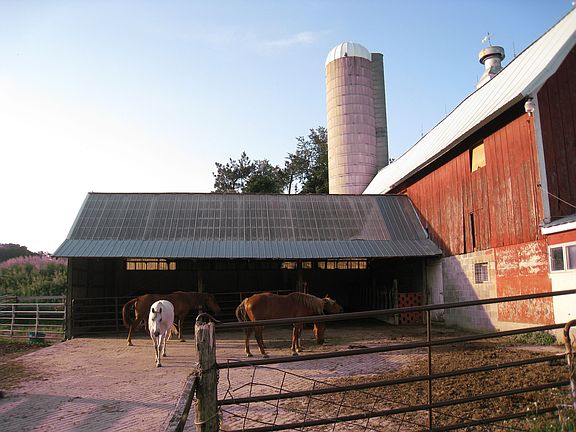 rear barn shed