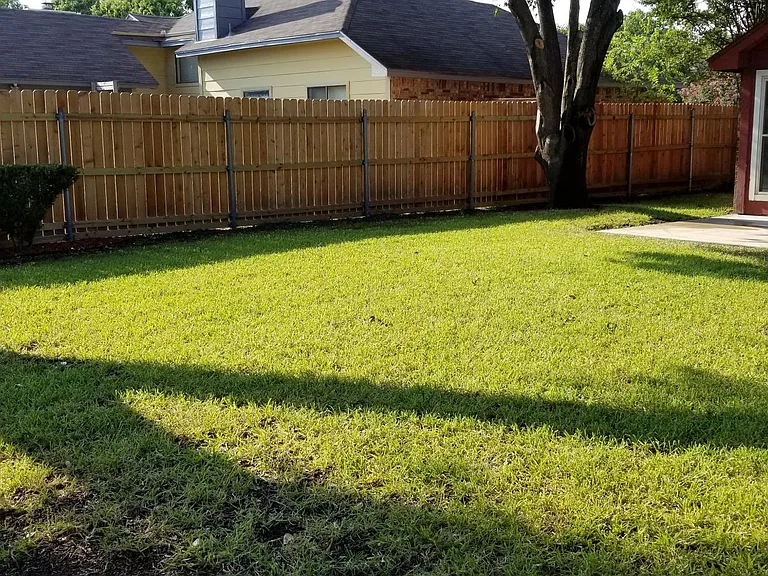 back yard