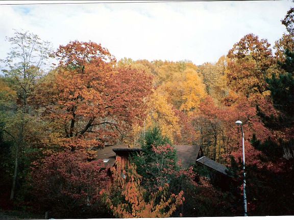 5th image of 23 Cypress Point Dr