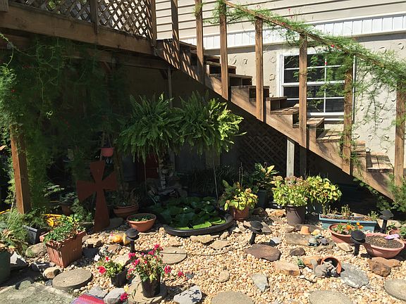 Back View with Small Pond