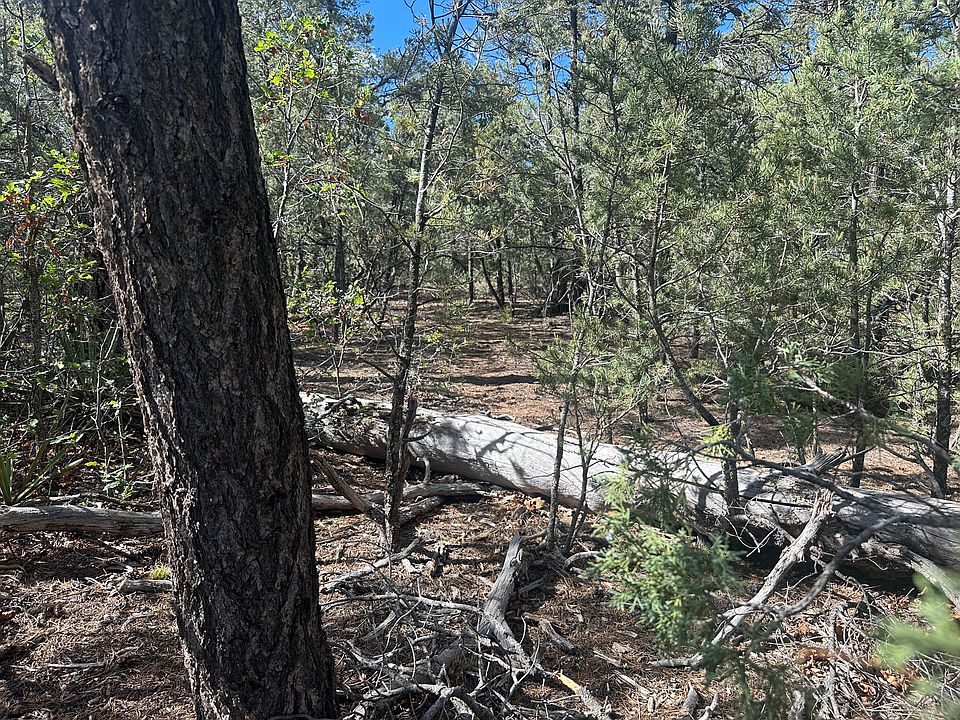 1st image of 9 Camino Sombreado