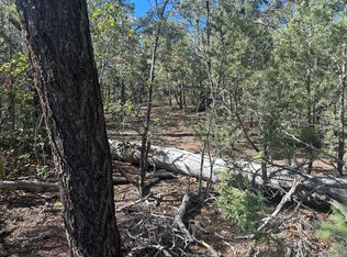 9 Camino Sombreado, Tijeras, NM 87059