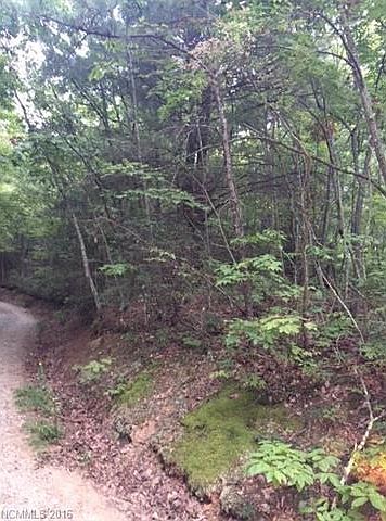2nd image of 2222 High Top Mountain Rd