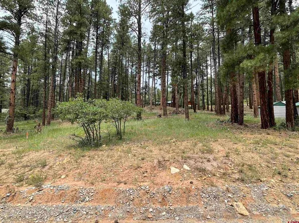 79 Spruce Way, Bayfield, CO 81122