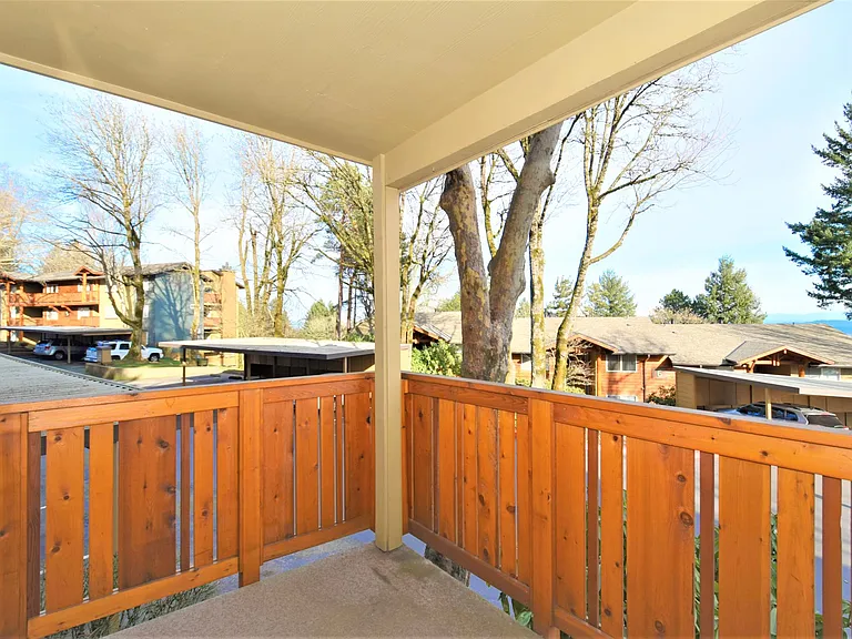 Ridge at Mountain Park — Photo 62