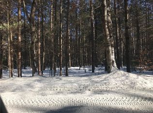 LOT 5 Partridgeville Rd LOT 5, Brantingham, NY 13312