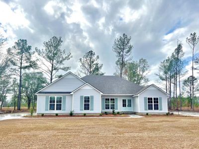 6452 Lake Alapaha Blvd, Naylor, GA, 31641