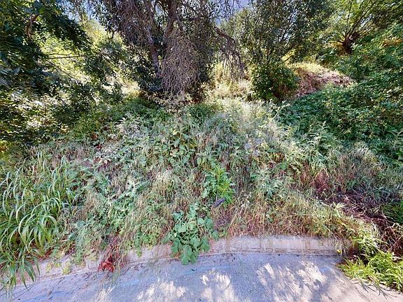 3rd image of 3810 Knobhill Dr