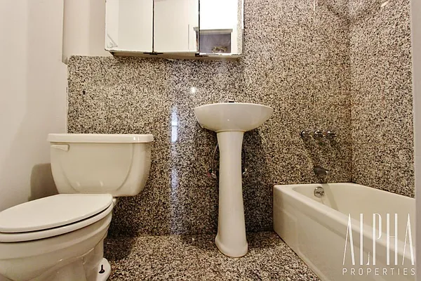 Rented by Alpha Properties NYC I LLC | media 29