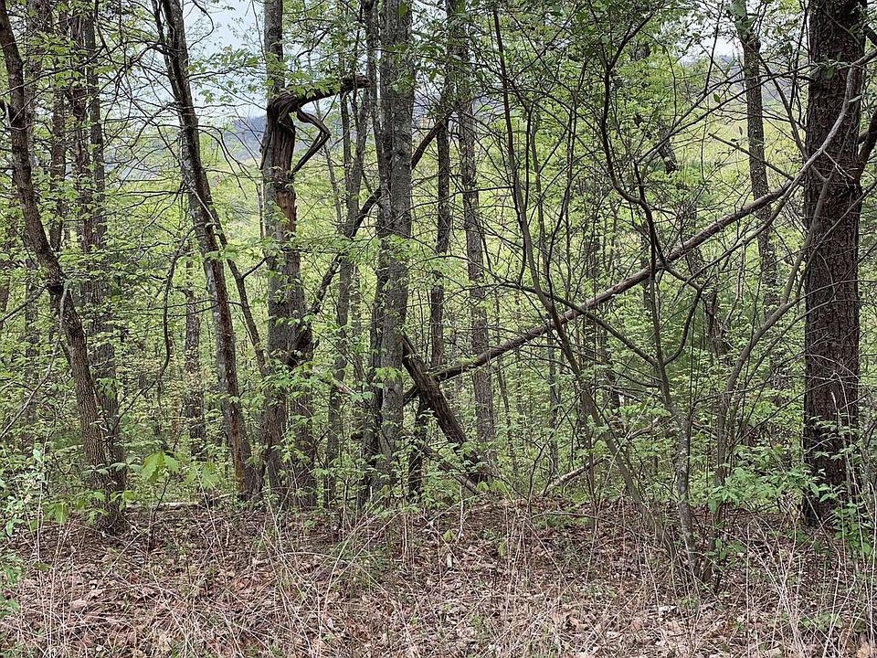 1st image of Dogwood Dr
