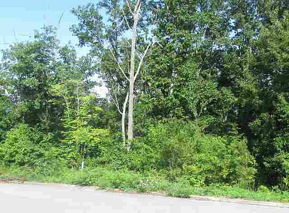 2nd image of Cottage Stone Ln NE