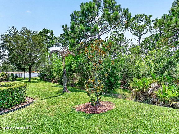 2nd image of 4304 Caladium Cir