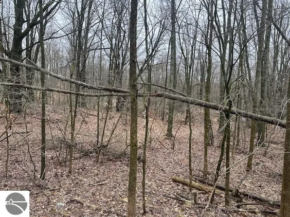 4775 W Herrick Rd, Farwell, MI 48622