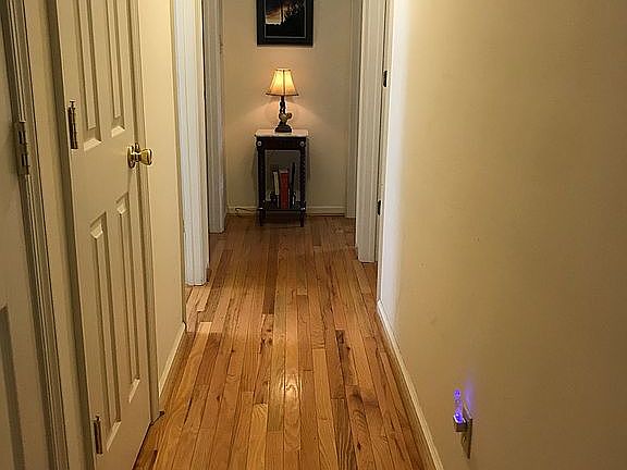 Wood Floors in hallway 