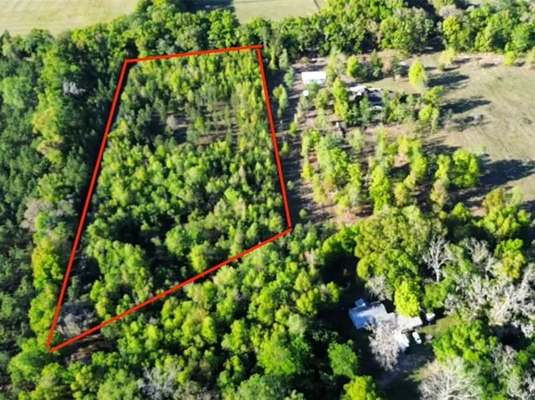 22901 SW 15th Ave, Newberry, FL 32669