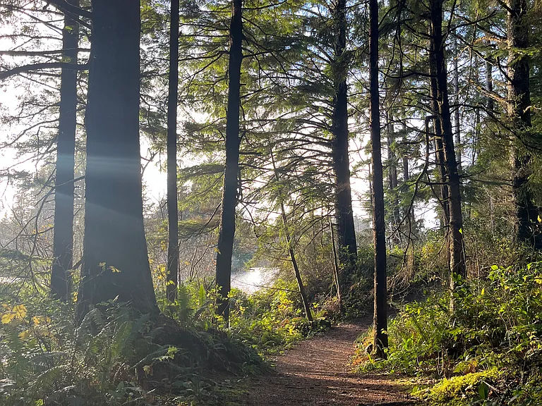 Black Lake hiking trail is a five minute walk from the front door.