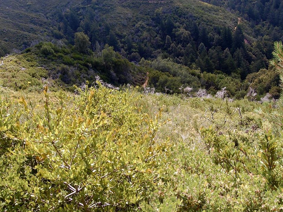 2nd image of 2013 Eureka Canyon Rd
