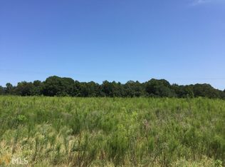 0 W Ln 13.44 Ac, Brooklet, GA 30415