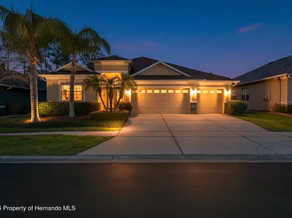 3303 Stonegate Falls Dr, Land O Lakes, FL 34638