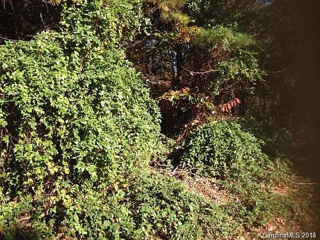 2nd image of 3811 Cherrybrook Dr