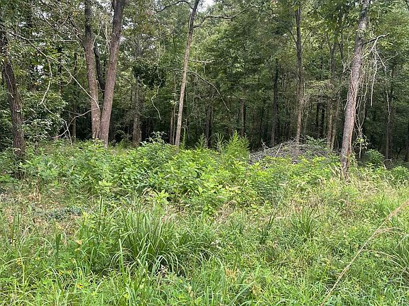 2nd image of 48B Big Rock Cir