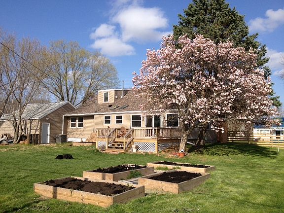 Back Yard and Deck 
