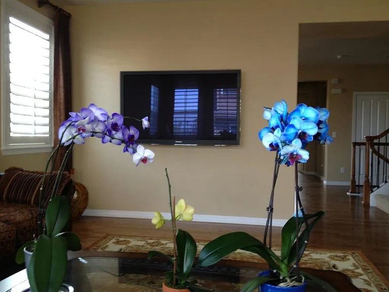 Living Area 2