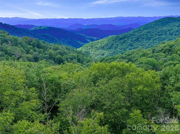 0 Ogle Meadows Rd #81, Burnsville, NC 28714