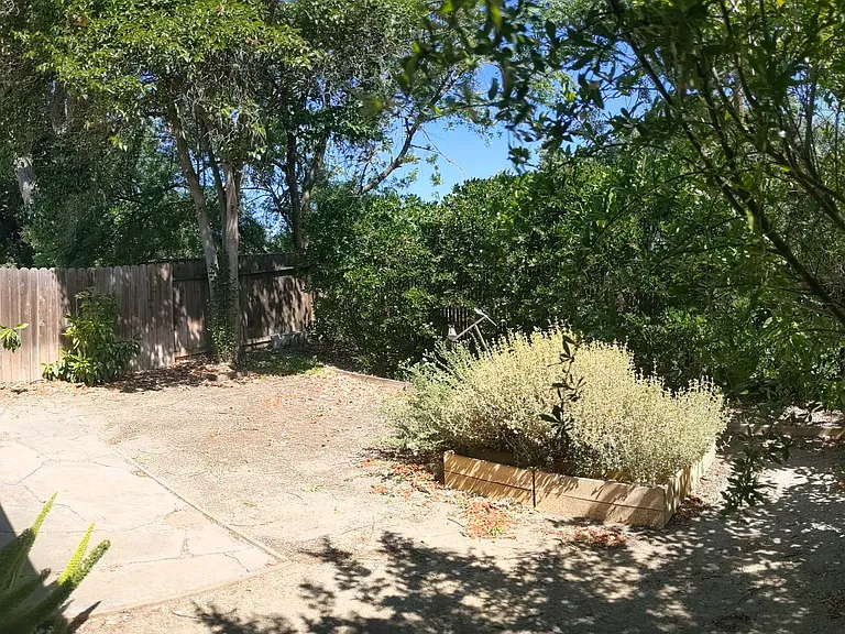 Backyard.