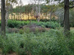 18 Phil Jones Rd, Cobb, GA 31735