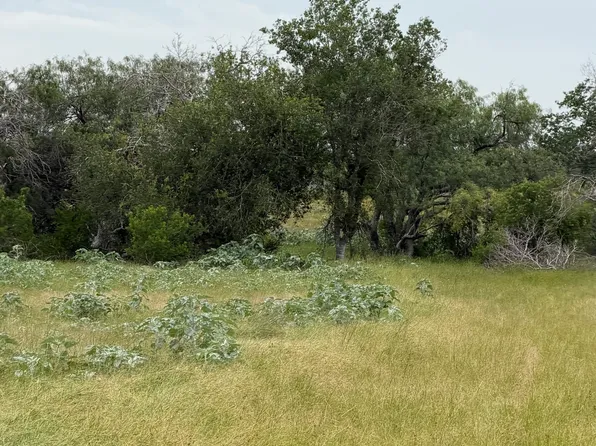 6038 County Road 405 LOT 10, Floresville, TX 78114