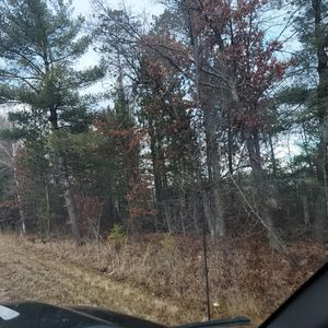 0 M 76, Saint Helen, MI, 48656