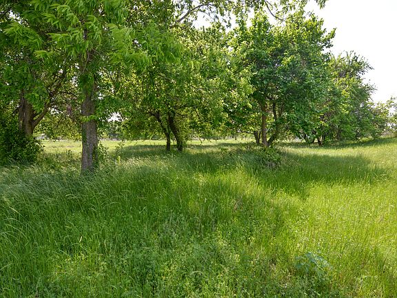 4th image of Contrary Creek Rd