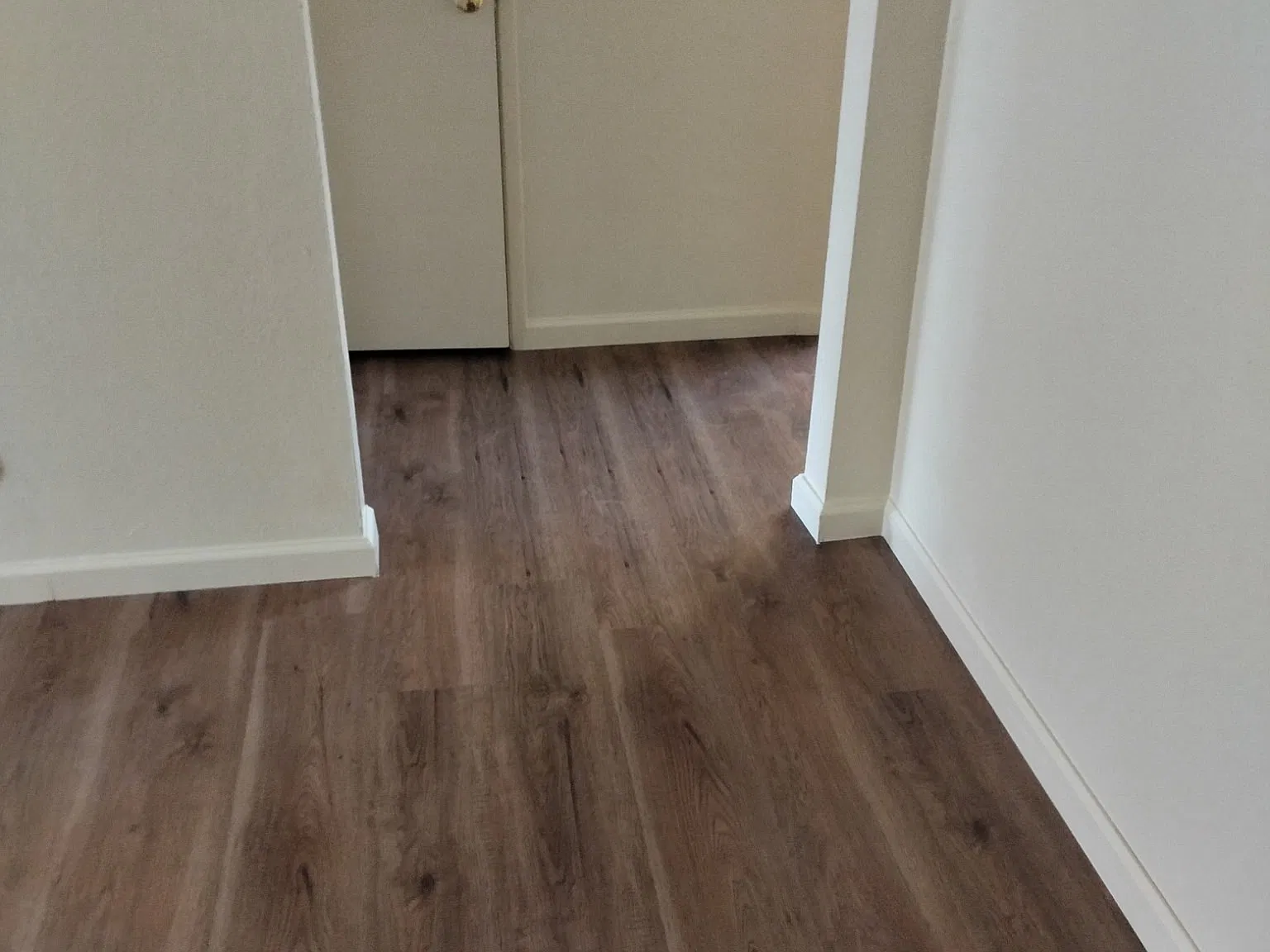 2 bed, 750 sqft, $1,200 — Photo 3