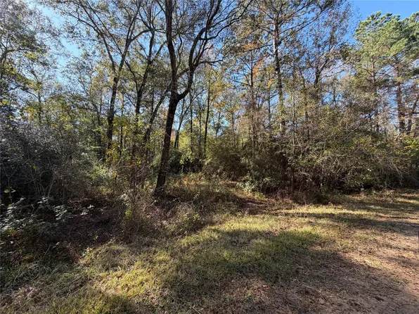 LOT 8A Private Road 2055 Rd, Hull, TX 77564