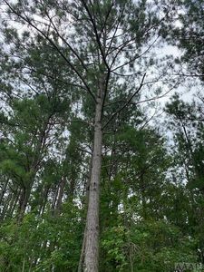 142 River Rd, Cofield, NC, 27986