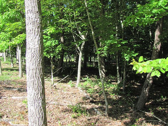 5th image of 113 Forest Hill Dr