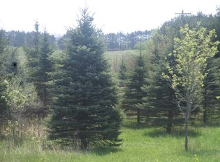 13000 Slee, Onsted, MI 49265