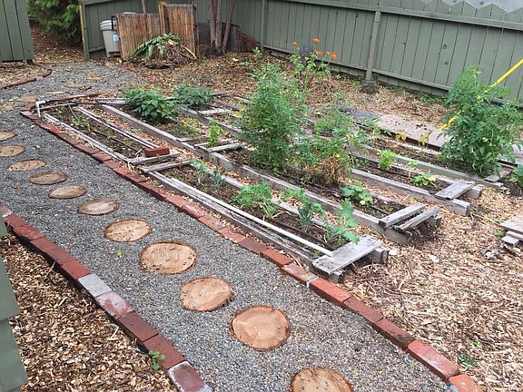 Raised beds with automatic drip irrigation for tenants whole