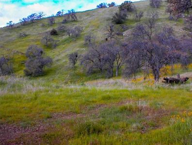 2202 Raven Ln, Squaw Valley, CA, 93675