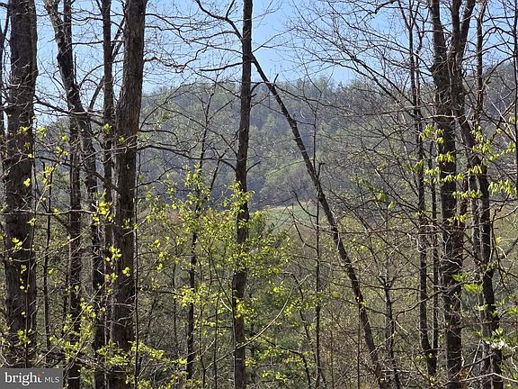 2nd image of LOT 1 S Fort Valley Rd