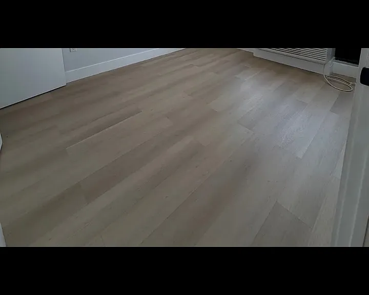 317 Forrest St #6 — Photo 2